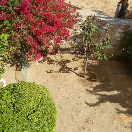 Villa Filip *